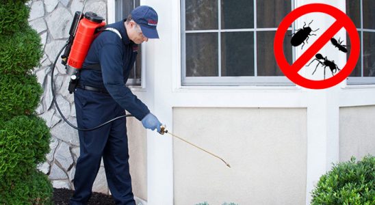 Kozluk Böcek ve Haşere İlaçlama böcek ilaçlama ve haşere kontrolü — ilaclama-tr.com